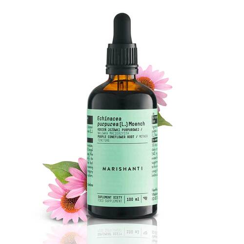 Echinacea Wurzel Extrakt Tropfen alkoholfrei - 2