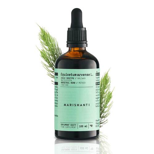 Schachtelhalm Extrakt Kr&auml;uter Tropfen alkoholfrei - 2