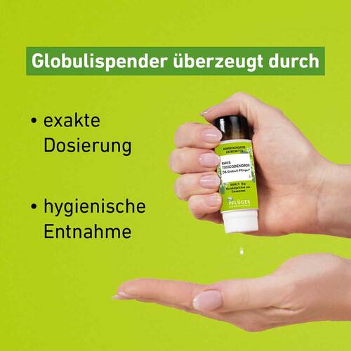 Rhus Toxicodendronicodendron D 6 Globuli Pflüger Globulisp. - 3