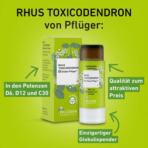Rhus Toxicodendronicodendron C 30 Globuli Pflüger Globulisp. - 2