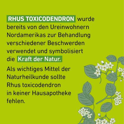 Rhus Toxicodendronicodendron C 30 Globuli Pflüger Globulisp. - 4