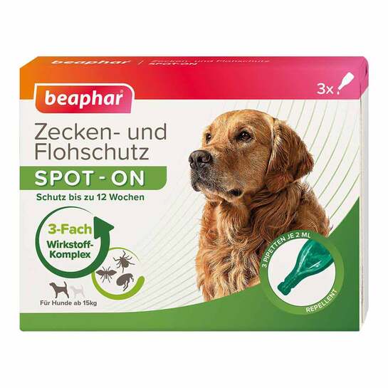  Erfahrungen teilen