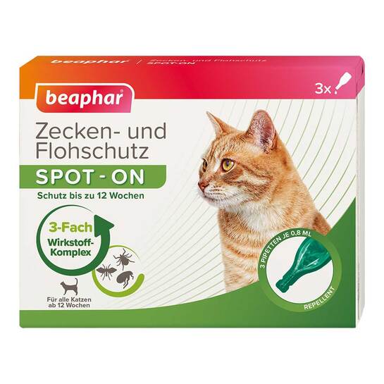  Erfahrungen teilen
