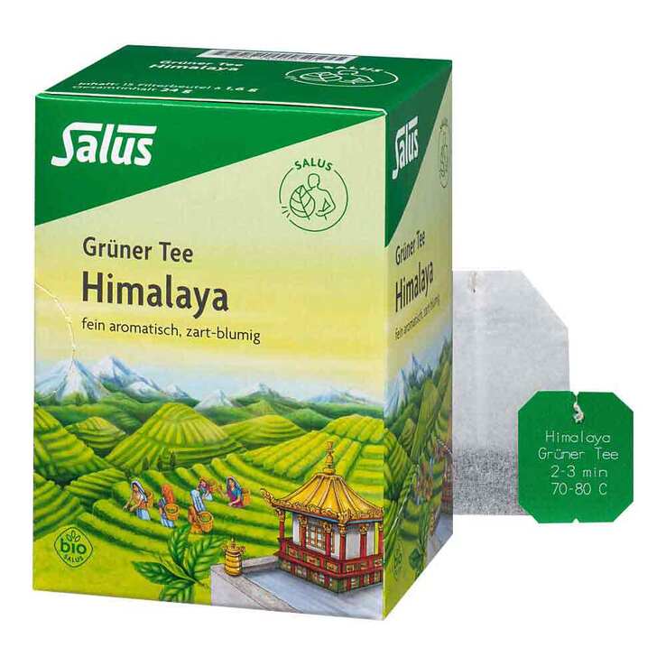 Grüner Tee Himalaya Bio Salus Filterbeutel - 1