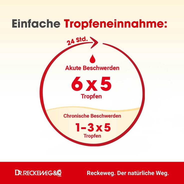 Hypotonie-Gastreu R44 Tropfen zum Einnehmen - 3