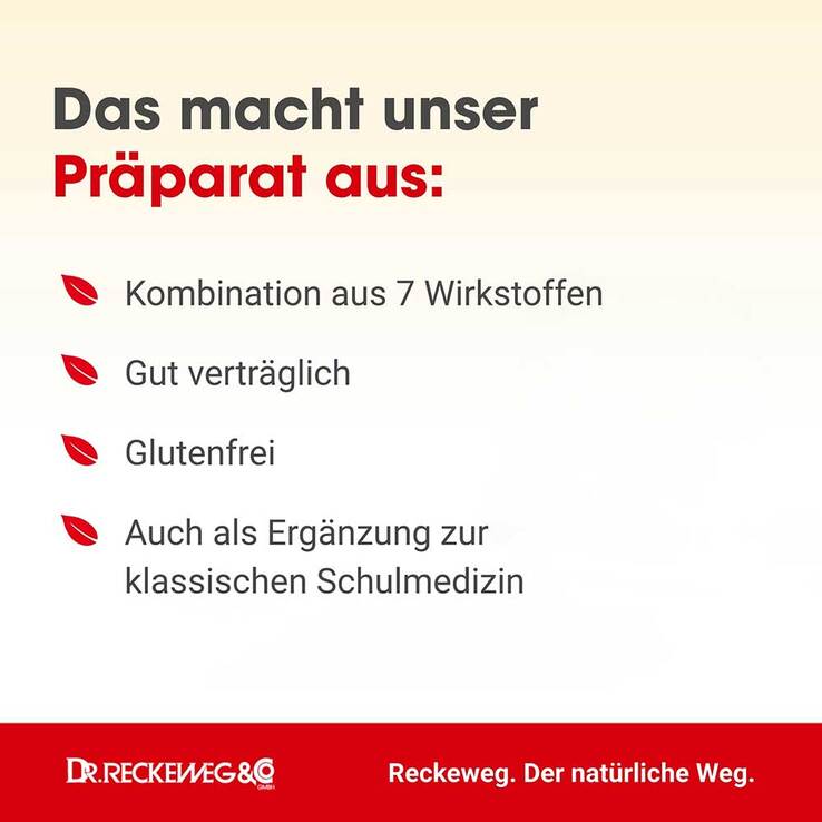 Grippe-Gastreu S R6 Tropfen zum Einnehmen - 2