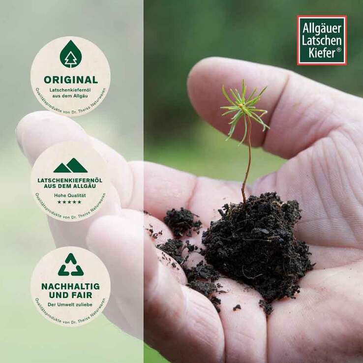Allgäuer Latschenkiefer Franzbranntwein - 4