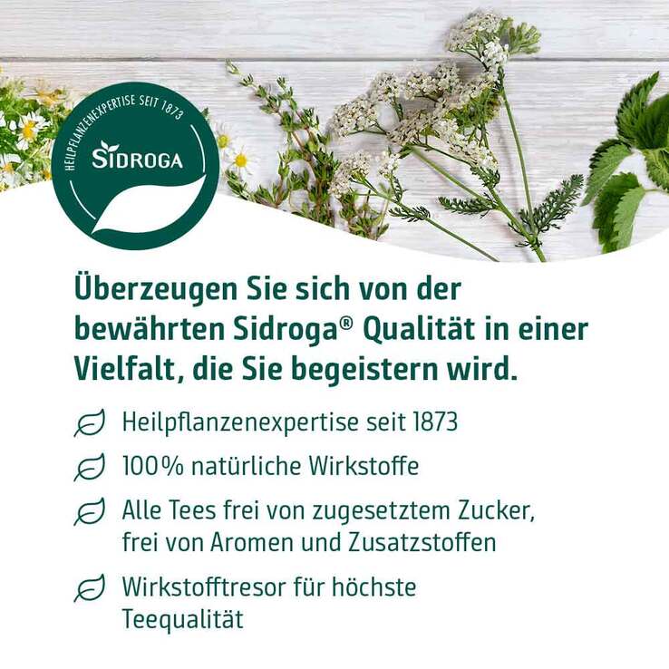 Sidroga Fenchel Anis Kümmel Tee Filterbeutel - 6