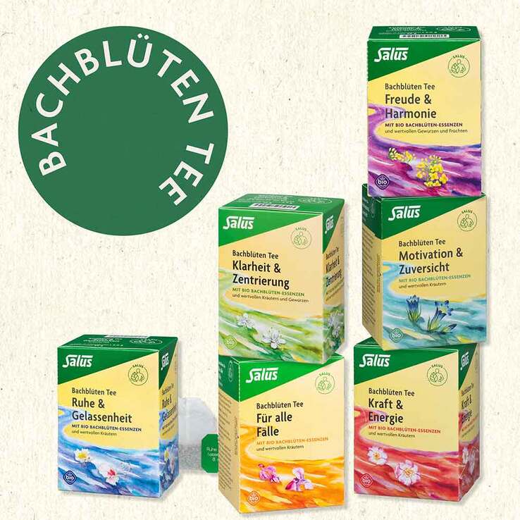 Bachblüten Tee Motivation & Zuversicht Bio Salus - 3