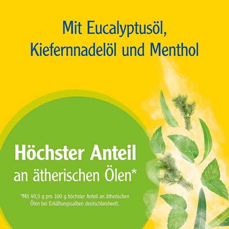 Pinimenthol® Erkältungssalbe Eucalyptusöl Kiefernnadelöl Menthol - 3