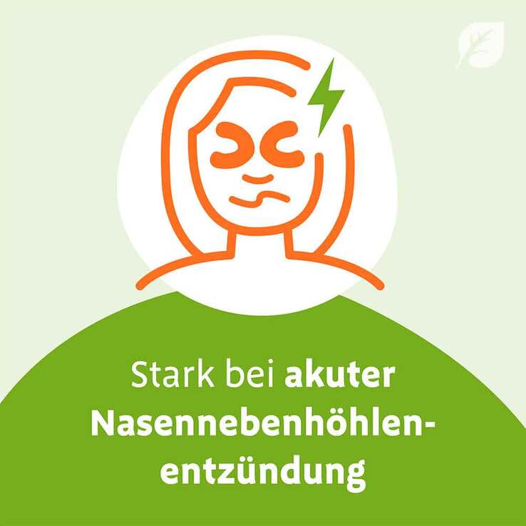 Sinupret eXtract Tabletten - 3