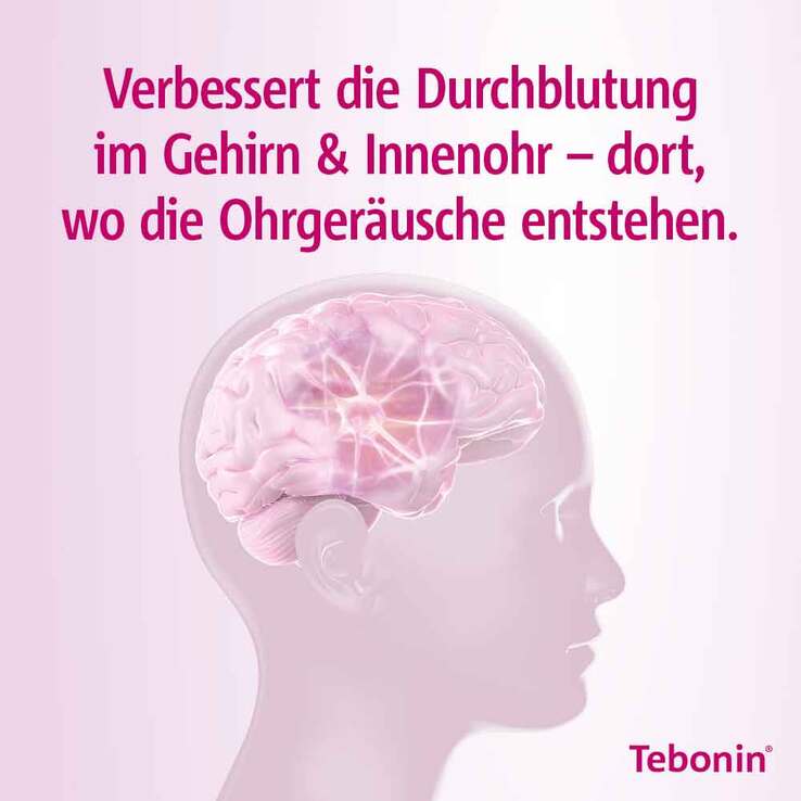 TEBONIN® intens 120 mg Filmtabletten  - 3