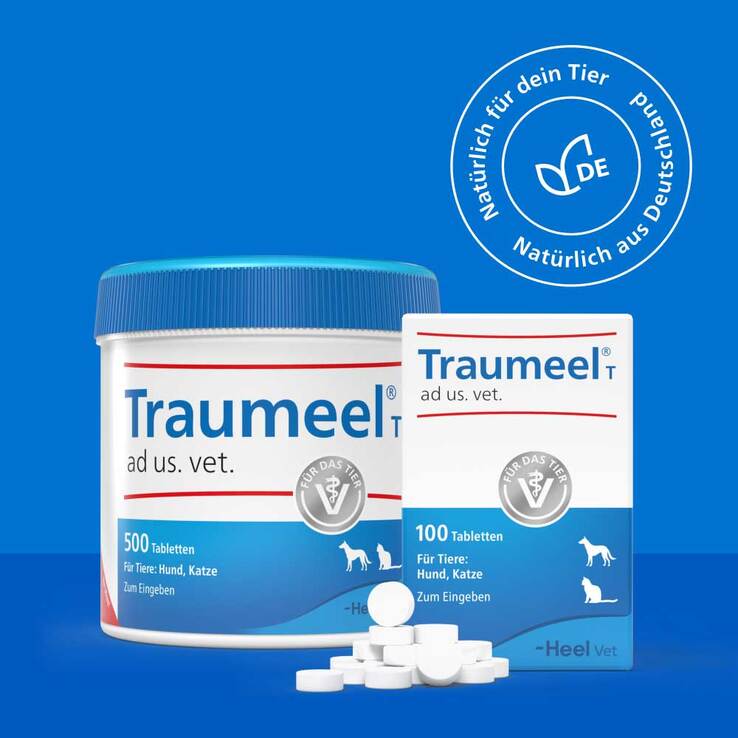 Traumeel T ad us. vet. Tabletten für Hund und Katze - 5