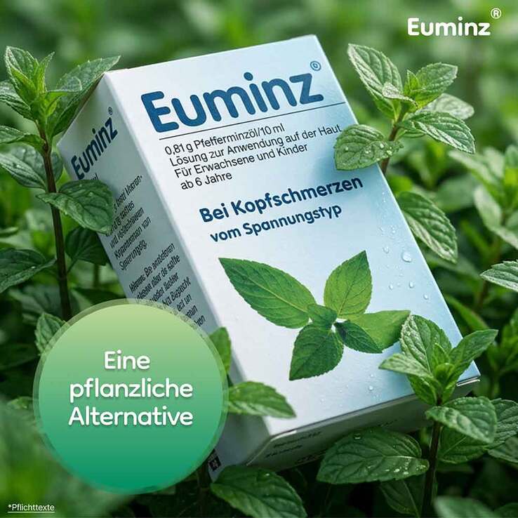 Euminz Lösung - 8