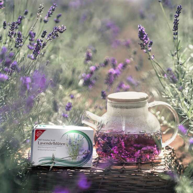 H&S Lavendelblüten Filterbeutel - 3