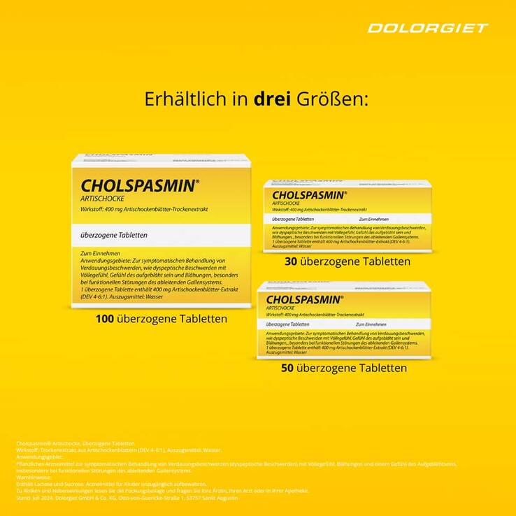 Cholspasmin Artischocke überzogene Tabletten - 4