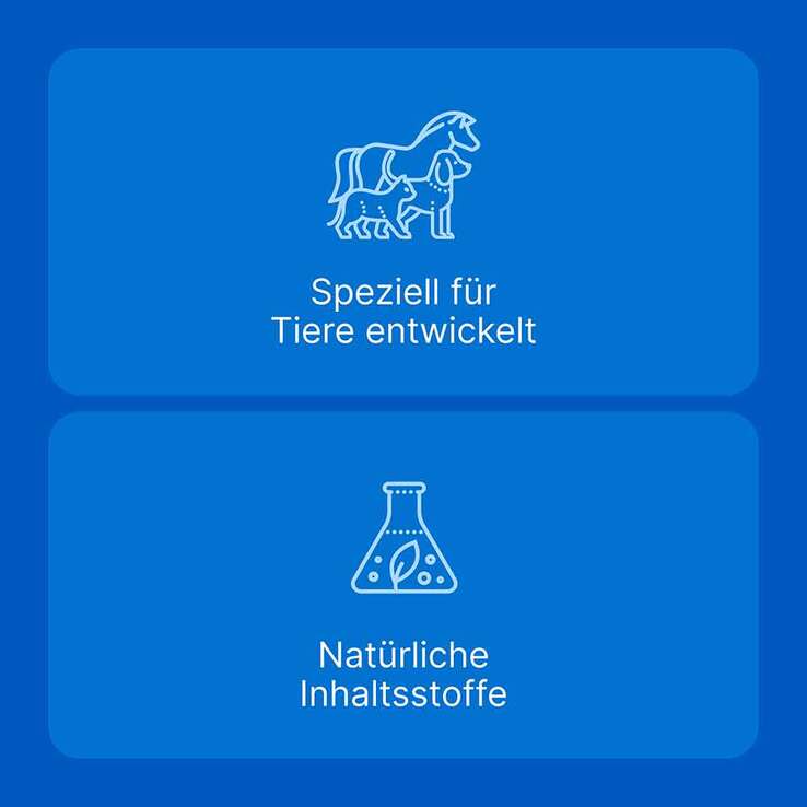 Traumeel LT Ampullen vet. (für Tiere) - 6