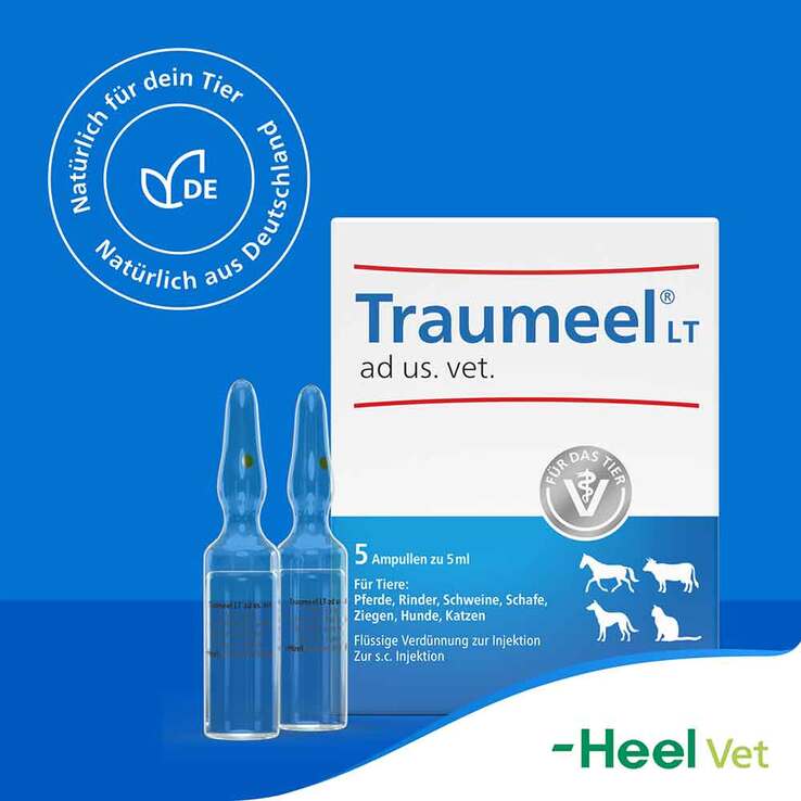 Traumeel LT Ampullen vet. (für Tiere) - 8