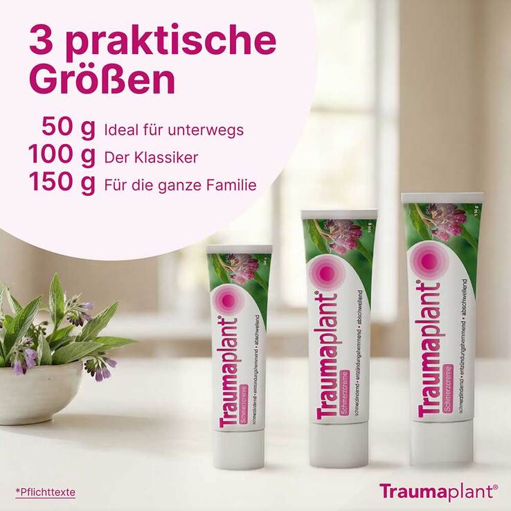Traumaplant Schmerzcreme - 8