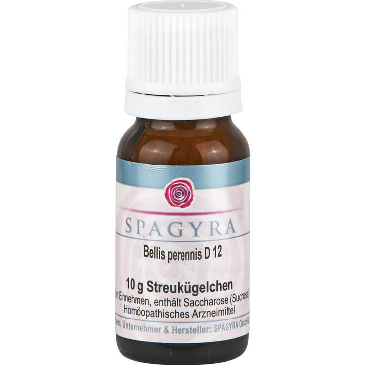 Bellis perennis D 12 Globuli - 1