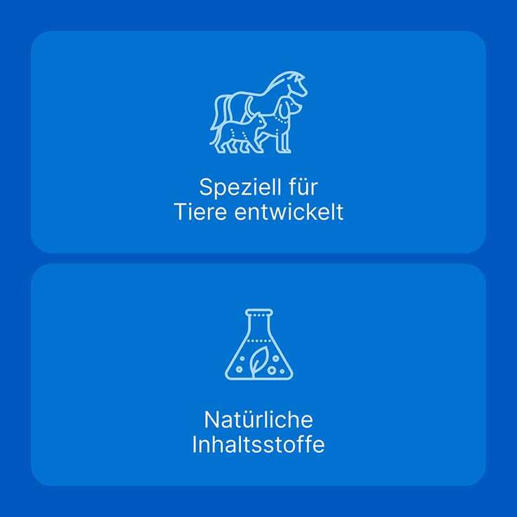 Traumeel LT Ampullen vet. (für Tiere) - 6