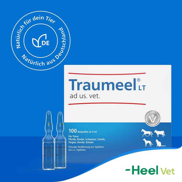 Traumeel LT Ampullen vet. (für Tiere) - 8