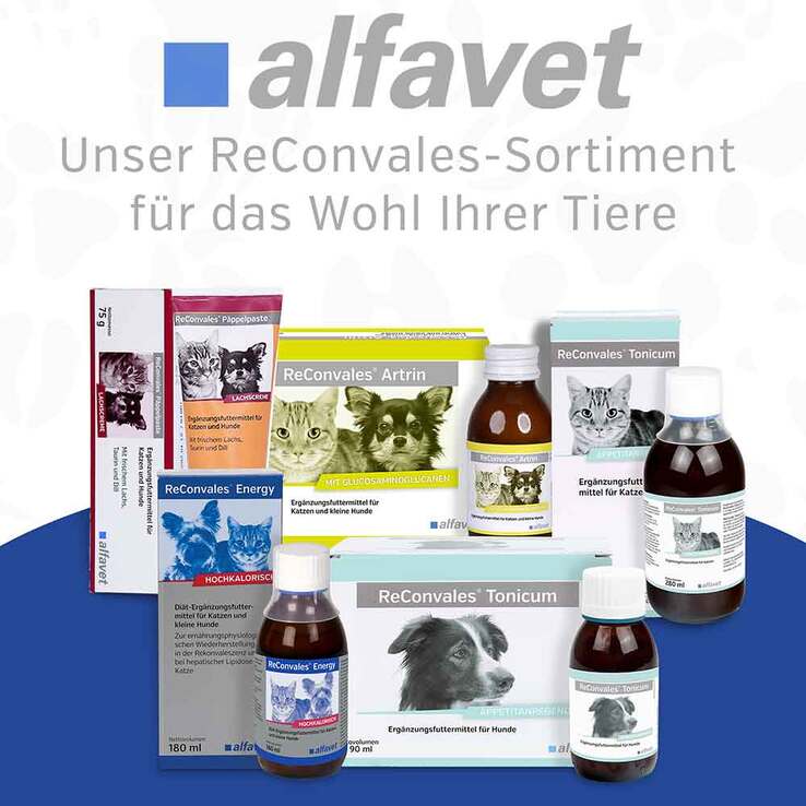 Reconvales Energy Diät-Erg.Futterm.für kl.Hund / Katze - 6