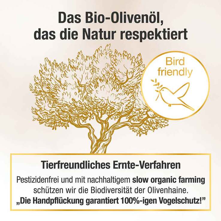 Oliv Plus high phenolic Bio Olivenöl - 5