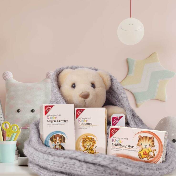 H&S Kinder Magen-Darmtee Filterbeutel - 4
