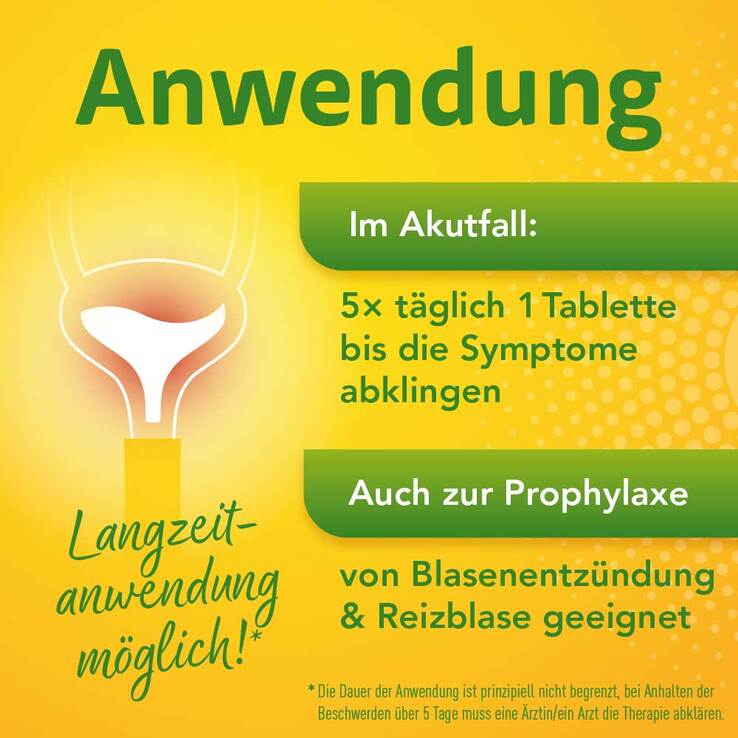 Solidago Aristo 300 mg Tabletten - 5