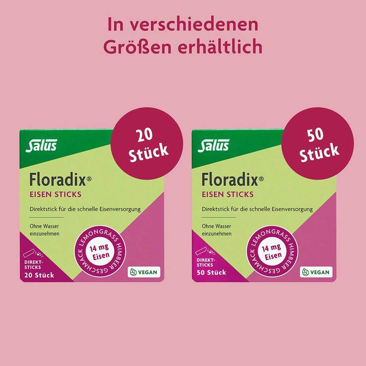 Floradix Eisen Sticks Pulver Salus - 6