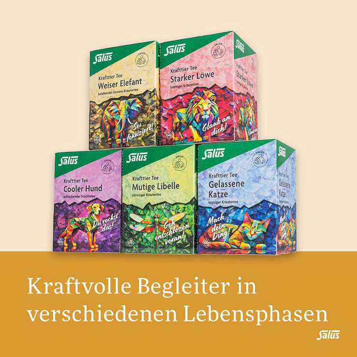 Krafttier Tee Weiser Elefant Bio Salus Filterbeutel - 5