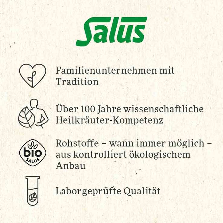 Salus Feliz navidad Bio Filterbeutel - 6
