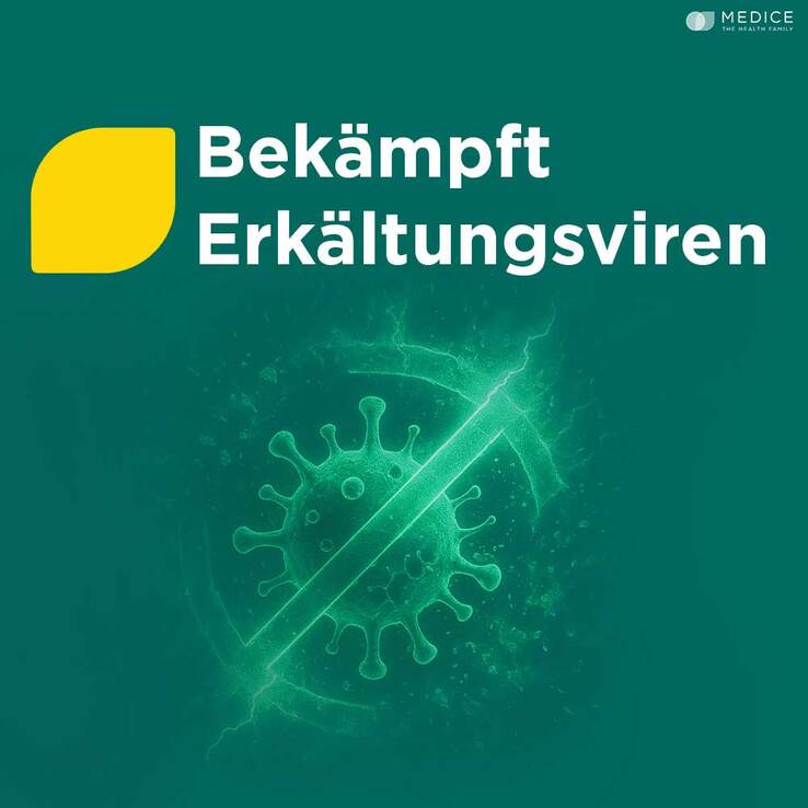 Meditonsin Extract pflanzliche Erkältungstabletten - 3