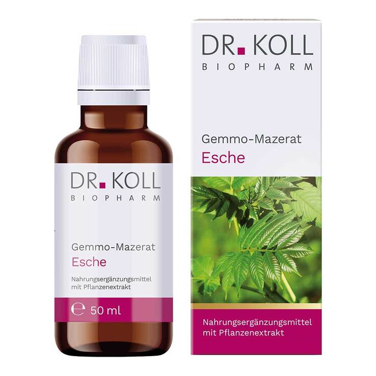 Gemmo-Mazerat Esche Dr. Koll Fraxinus excelsior Tropfen - 1