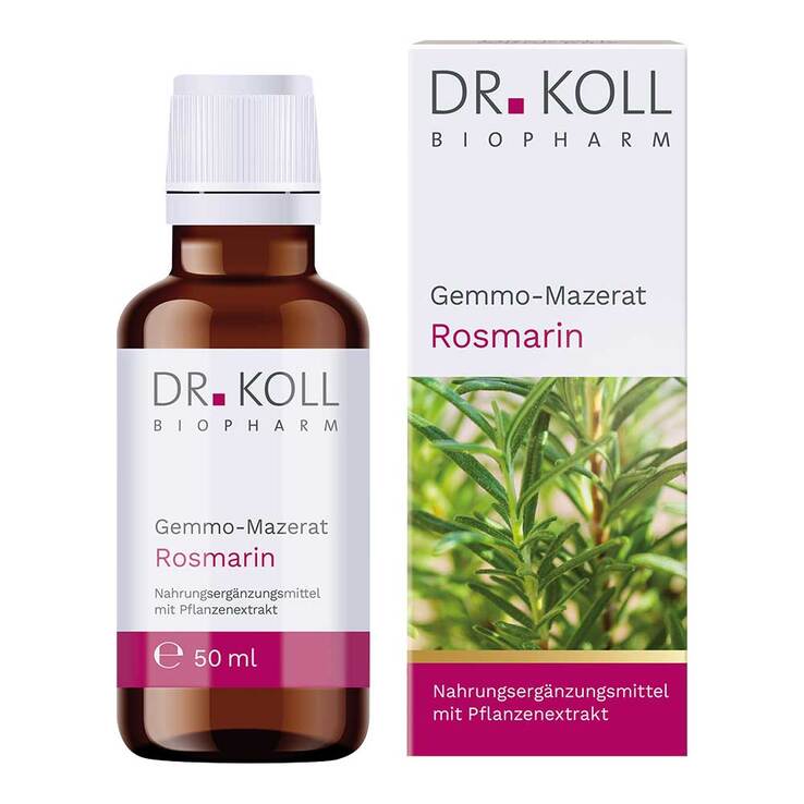 Gemmo-Mazerat Rosmarin Dr. Koll Rosmarinus officinale Tropfen - 1