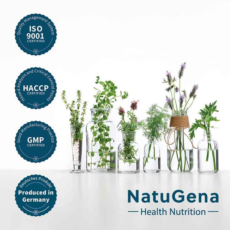 Roter Panax ginseng 20% Ginsenoside vegan Kapseln - 3
