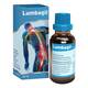 Lumbagil Tropfen zum Einnehmen 50 ml